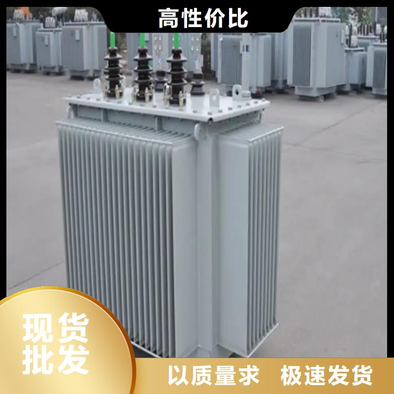 s11-m-630/10油浸式变压器-热销厂家经验丰富