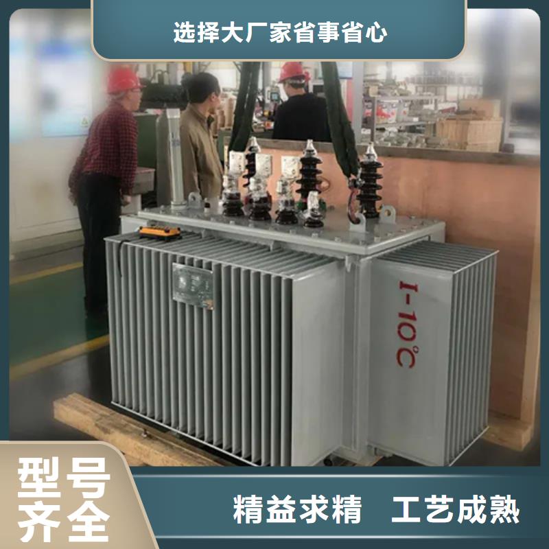 S13-m-250/10油浸式变压器服务至上一站式采购方便省心