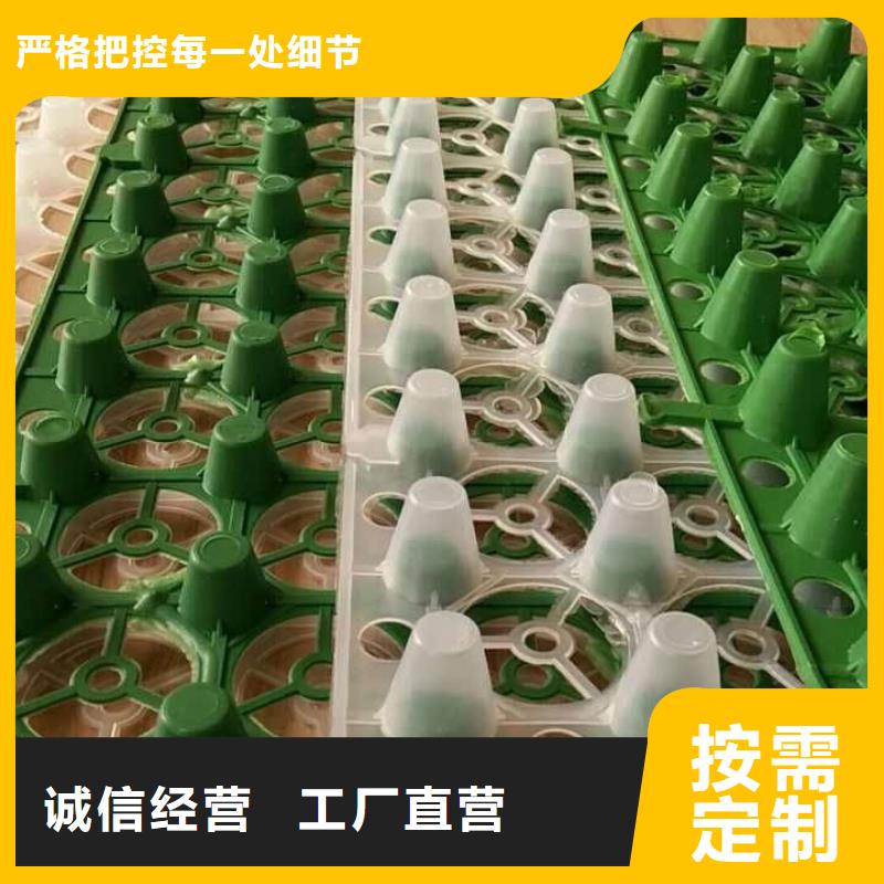 车库疏水板-厂家直销优选好材铸造好品质