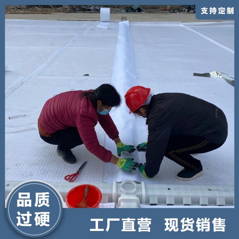 排水板-价格优惠{当地}生产厂家