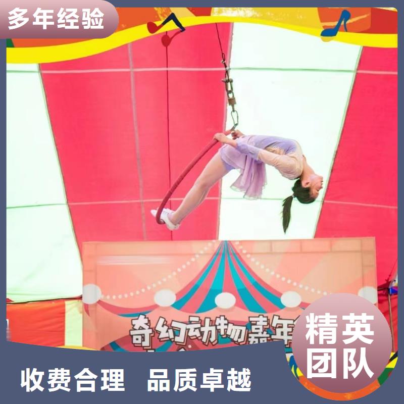 羊驼租赁公司技术好