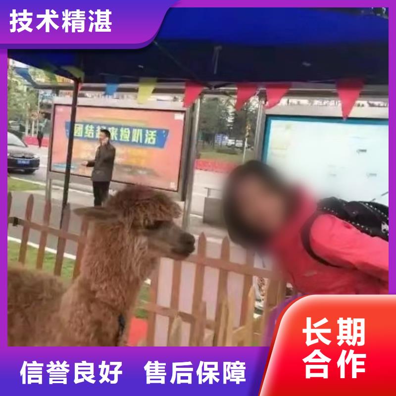 马戏团表演出租全国承接服务至上
