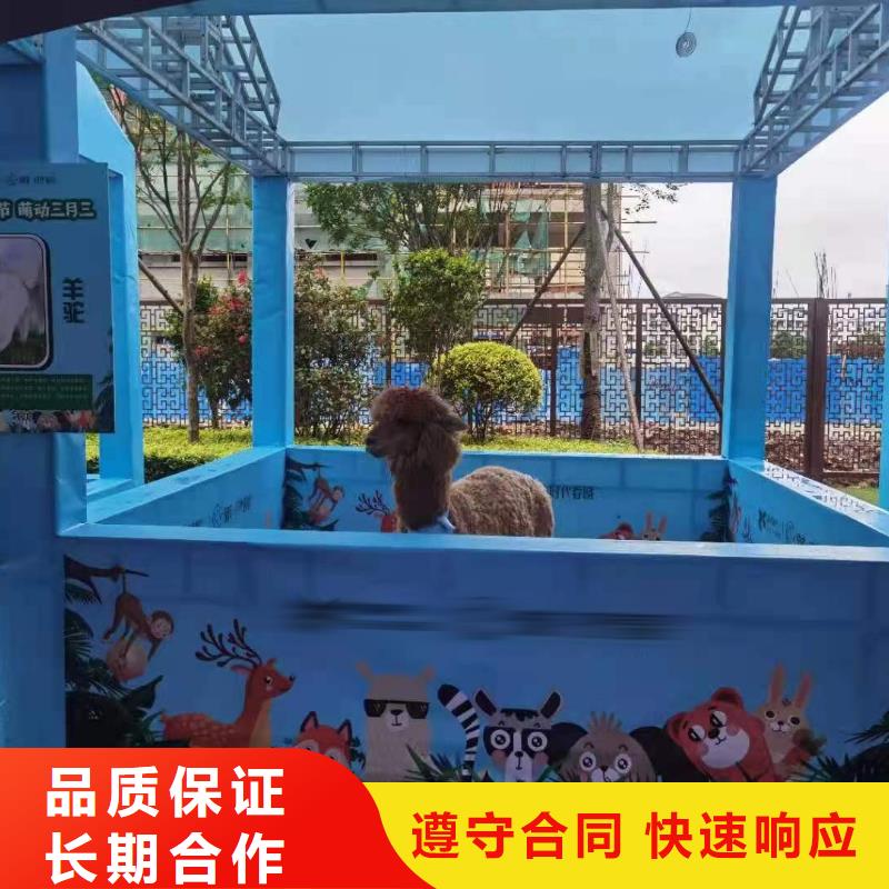 萌宠动物展出租省心可靠质优价廉