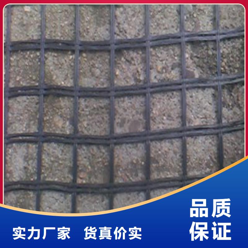 钢塑土工格栅哪有卖的厂家现货批发