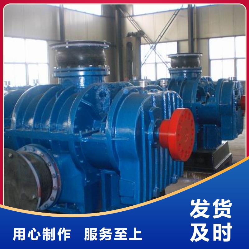 ​2025三叶罗茨鼓风机LFSR65同城制造商