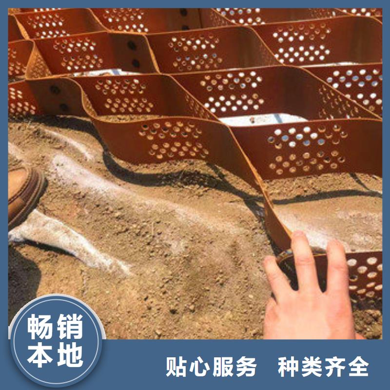 塑料土工格室多少钱质量安心