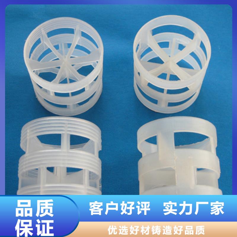 鲍尔环价格豫嵩鲍尔环豫嵩常用填料当地生产商