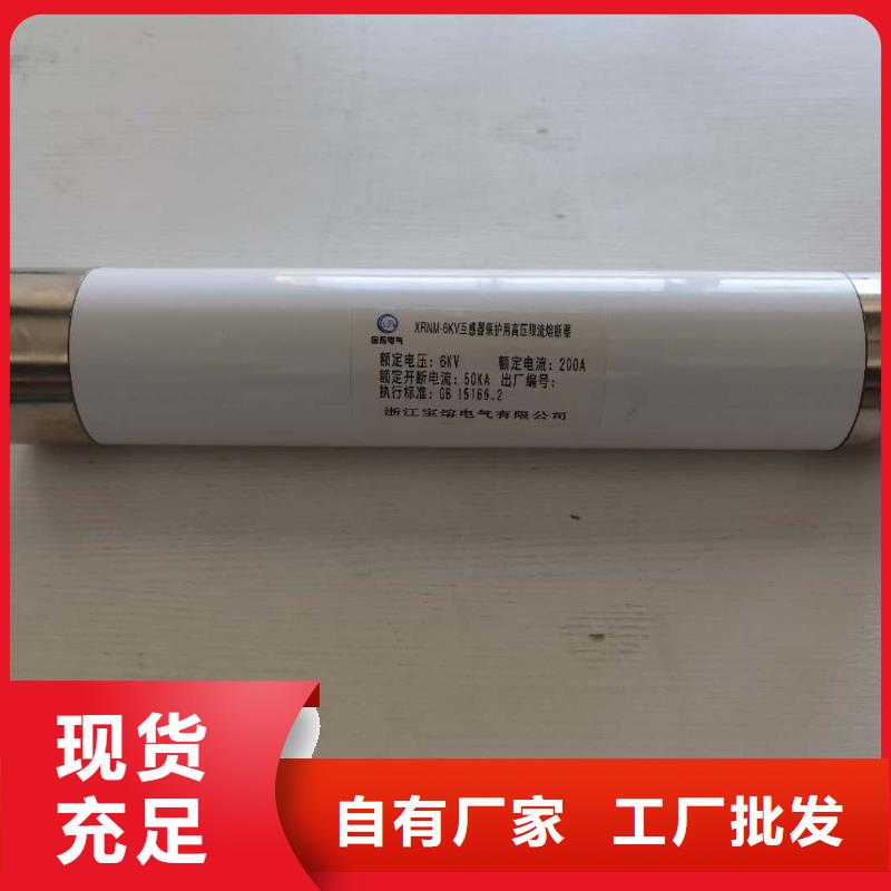 XRNT1-24KV/10A型号参数变压器保护用高压限流熔断器同城厂家