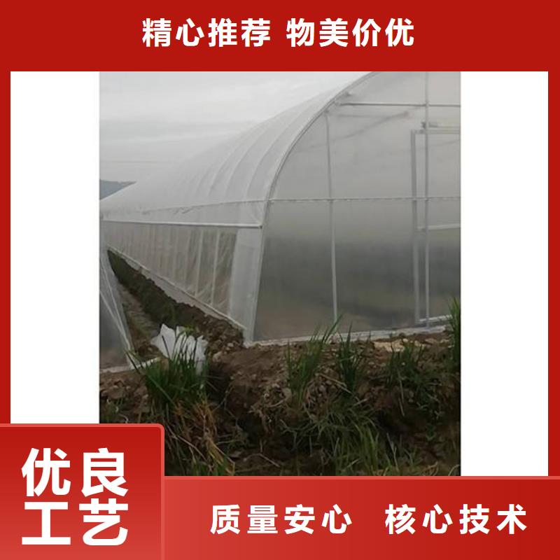 筠连平菇现货镀锌大棚管保十年不锈大图设备齐全支持定制