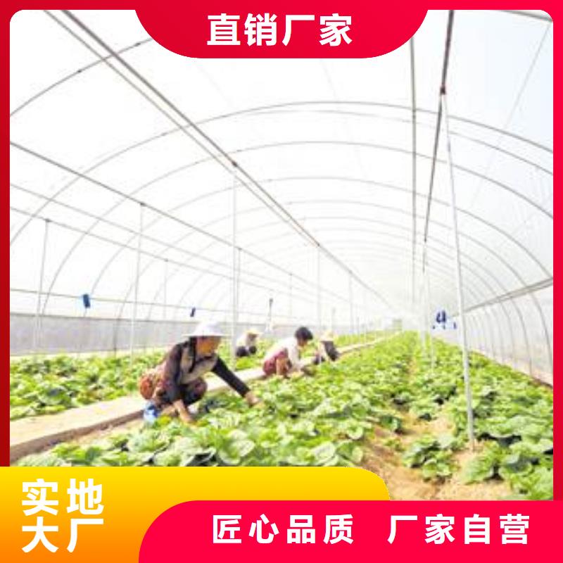 大棚镀锌管精品质量上乘