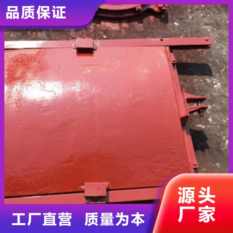 铸铁闸门价格低{当地}制造商