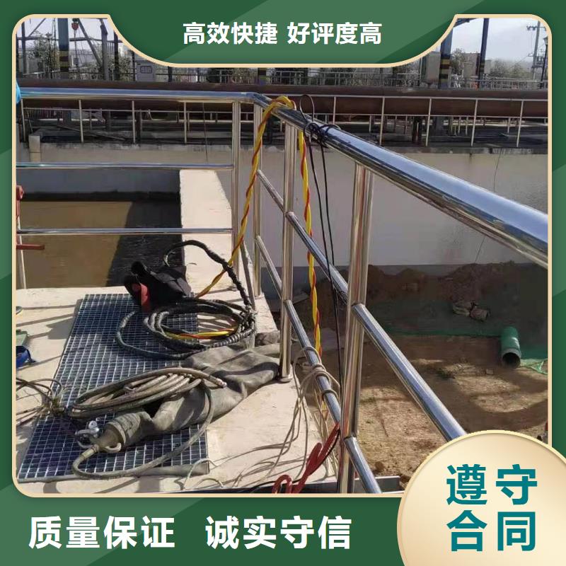 发电厂闸门水下维修检查公司本地制造商