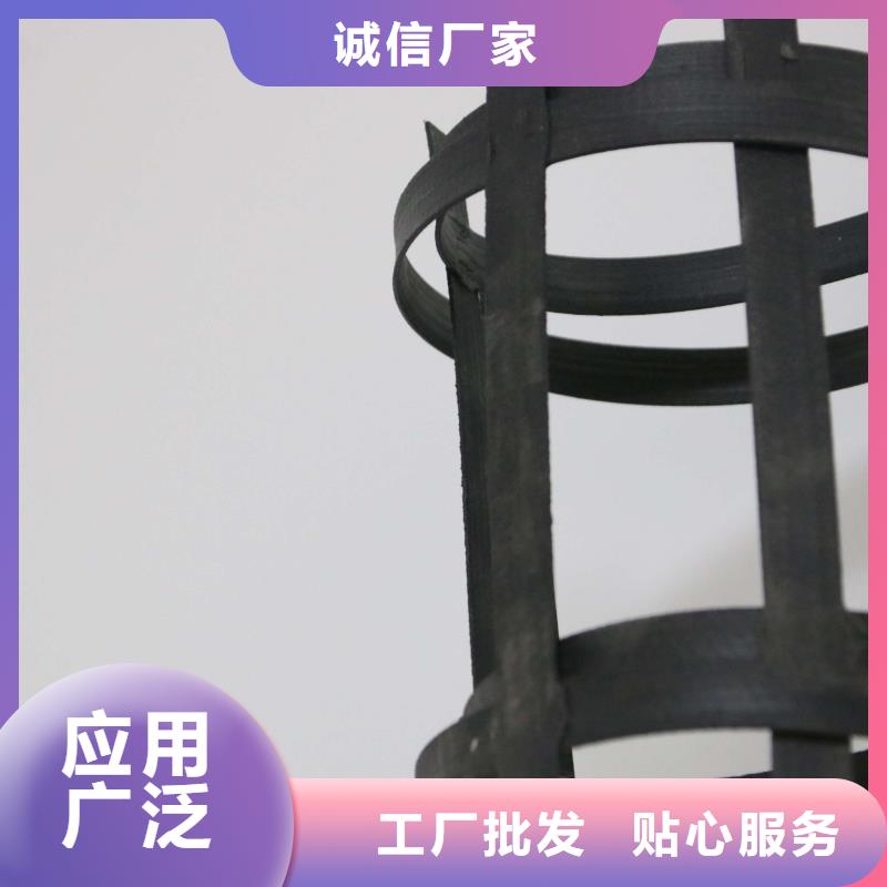 山东钢塑土工格栅_优质经编玻纤土工格栅_钢塑土工格栅厂家2025新款钢塑土工格栅厂家直销_质量保证<当地>品牌