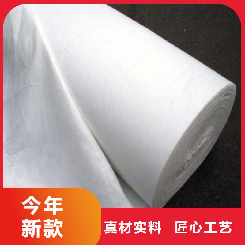 玻璃纤维复合土工布报价本地生产厂家