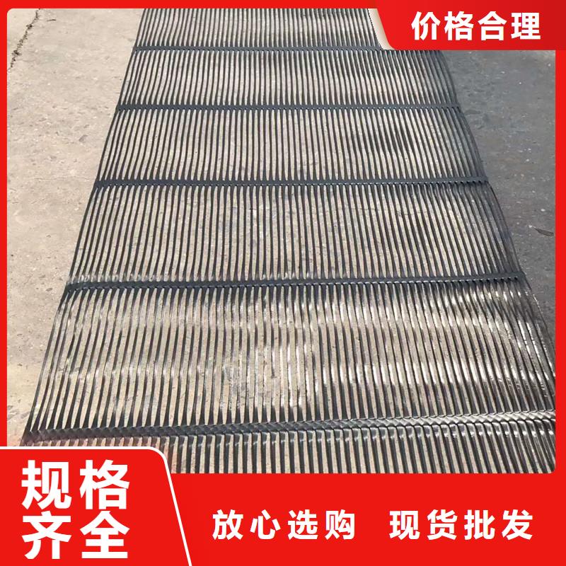 单向塑料土工格栅,【三维植被网】可定制同城生产厂家