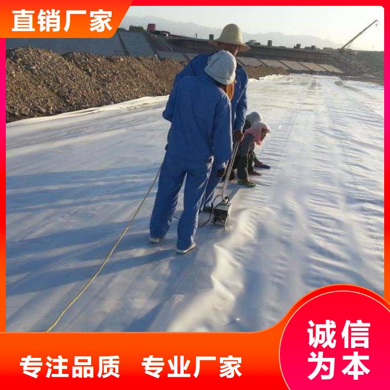 办公地毯,景观湖防渗膜同城经销商