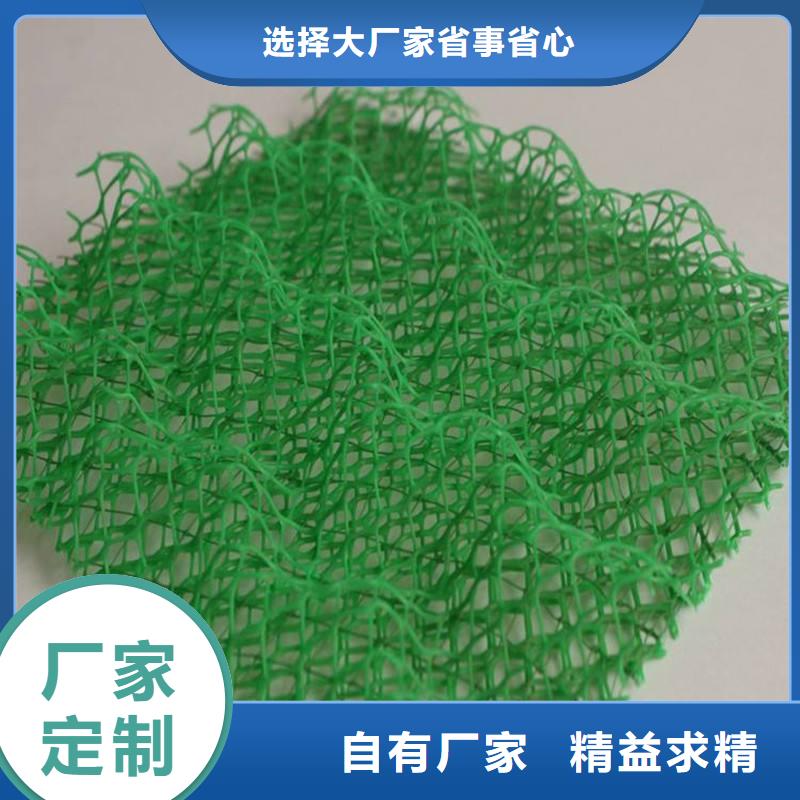 三维植被网三维土工网垫有实力有经验<当地>厂家