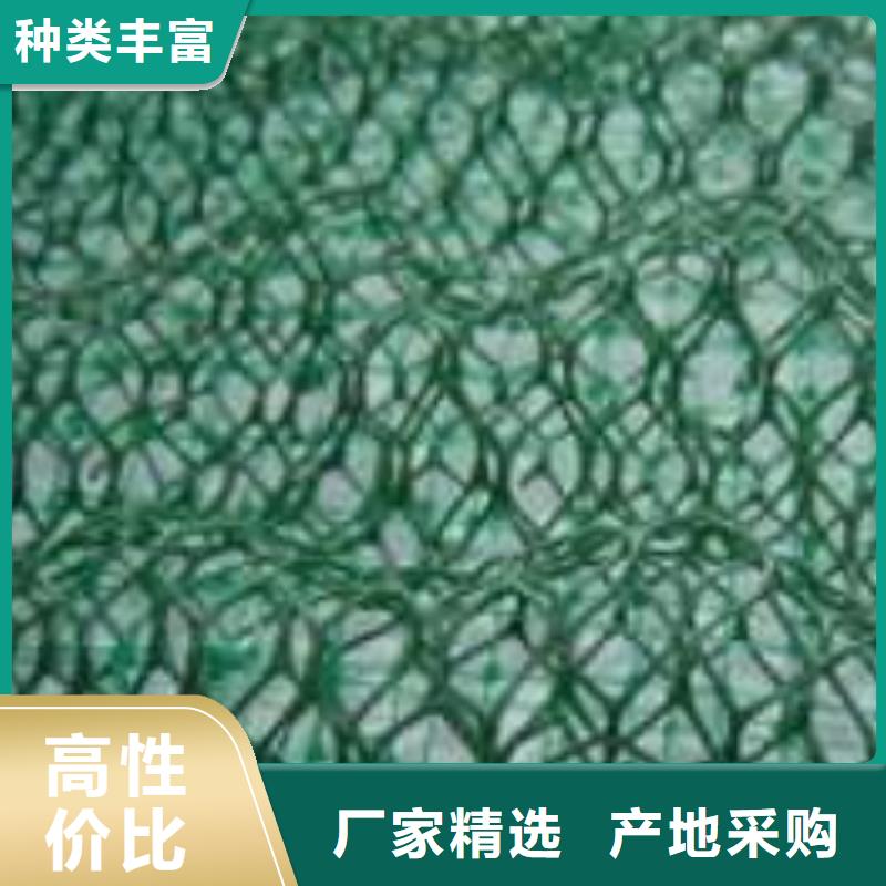 三维植被网,三维复合排水网,HDPE防渗膜用心做品质