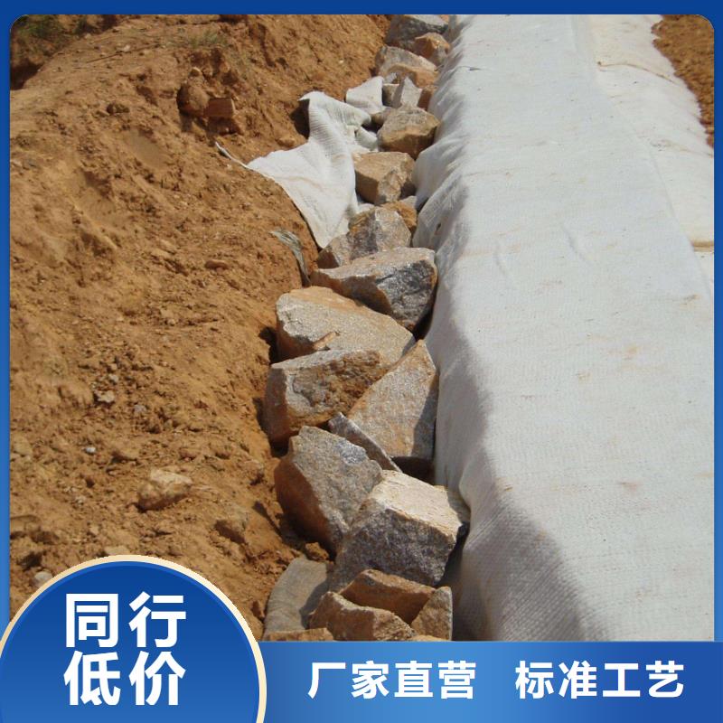 2025膨润土防水毯生产基地实力商家