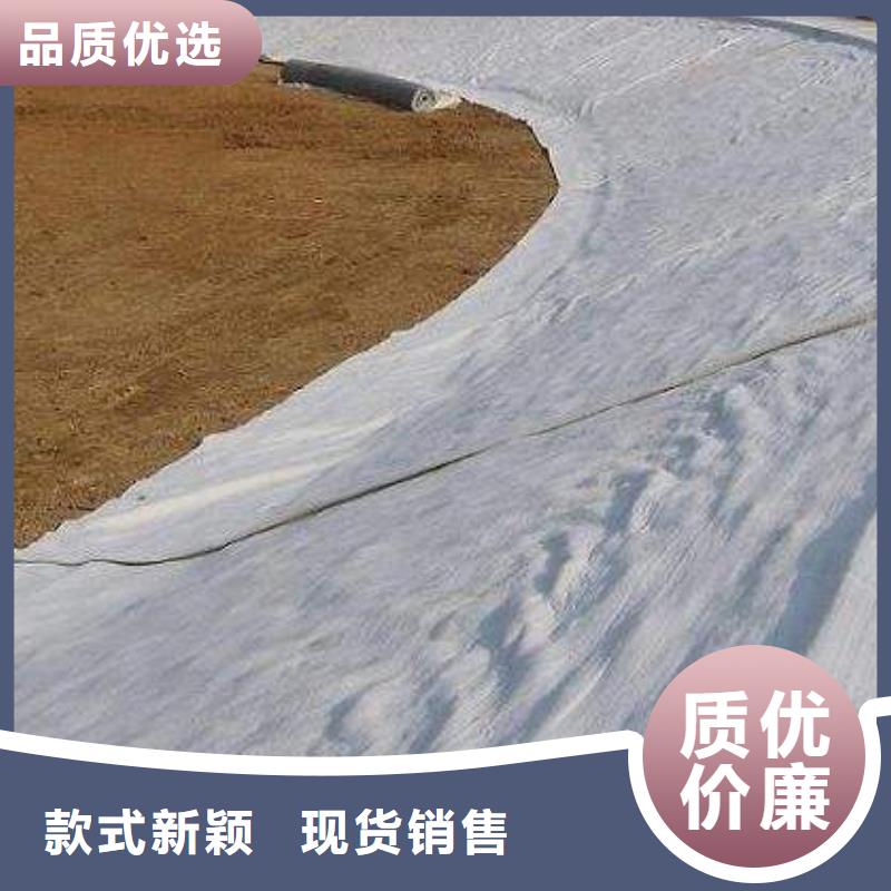 乐东县膨润土防水毯货源充足<本地>公司