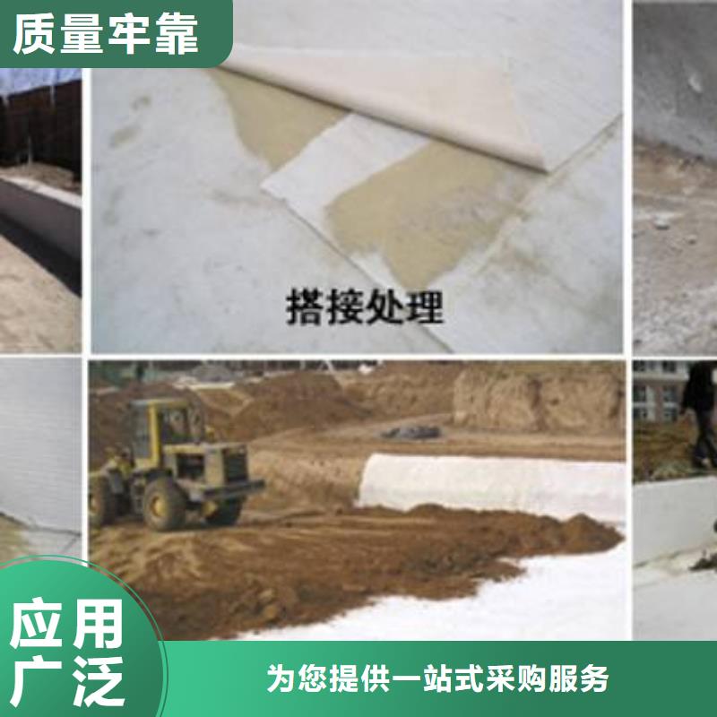 【膨润土防水毯】三维植被网价格实惠工厂直供<本地>供应商