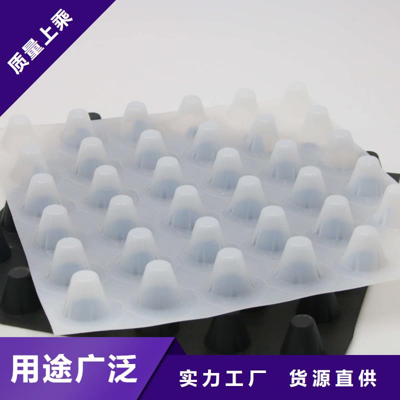 排水板_【土工席垫】精工细作品质优良敢与同行比服务