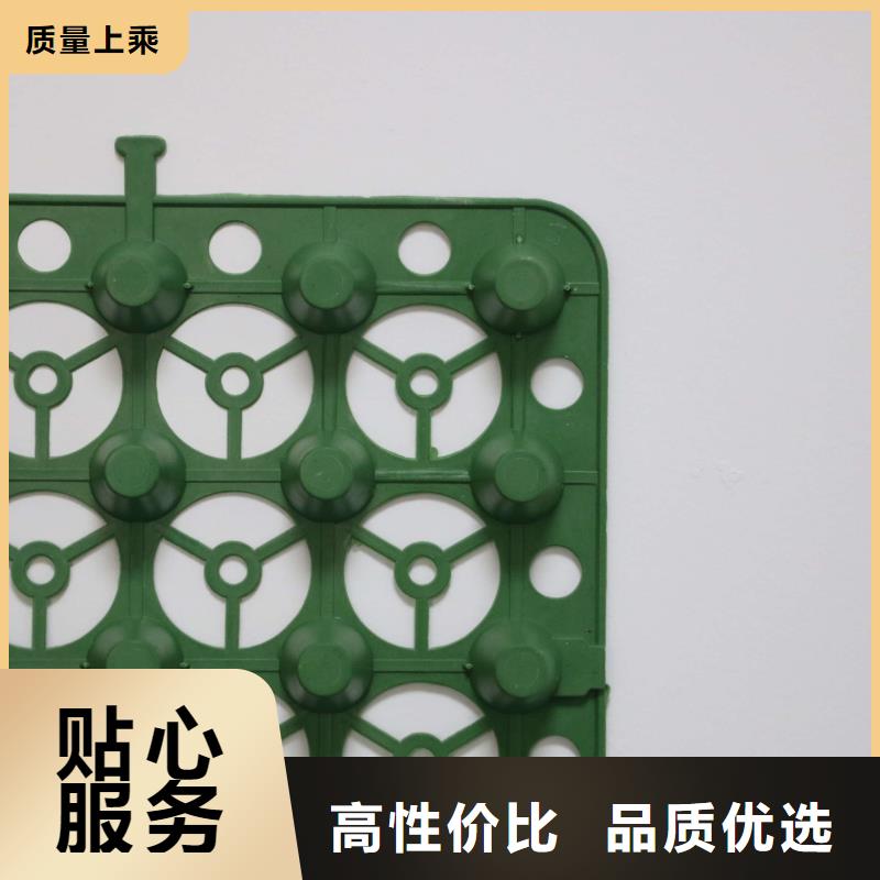 排水板_【PVC防水卷材】价格实惠当地品牌