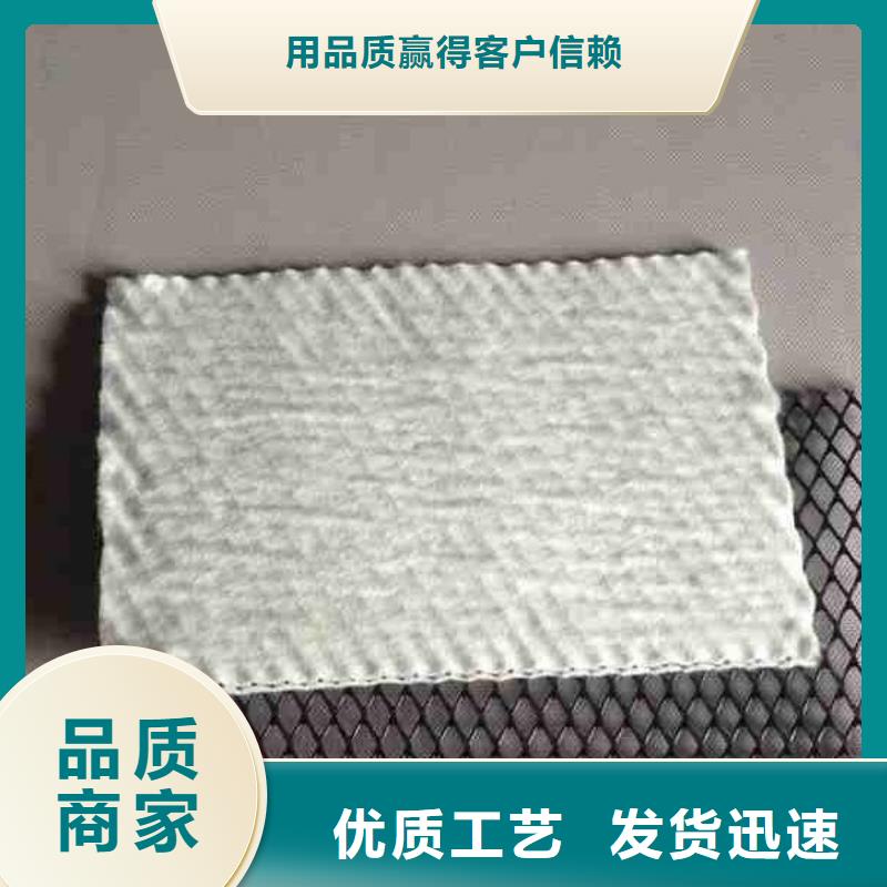 排水网-长丝复合排水网本地品牌
