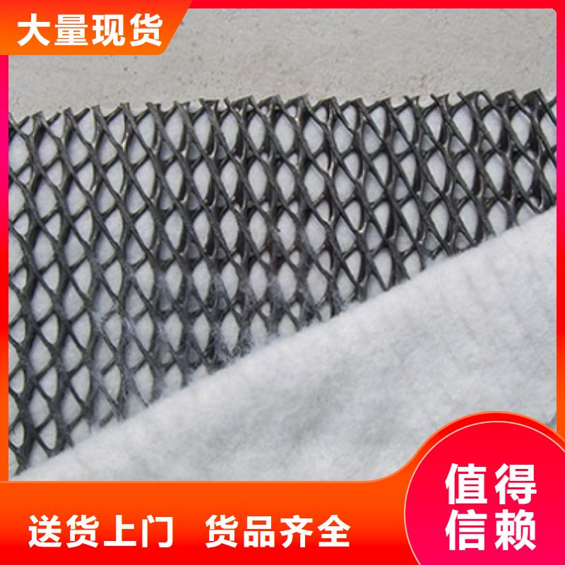 三维复合排水网_塑料排水板价格_蓄排水板厂家服务周到