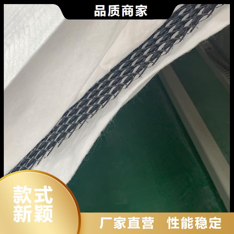 三维复合排水网生产厂家-发现货现货实拍