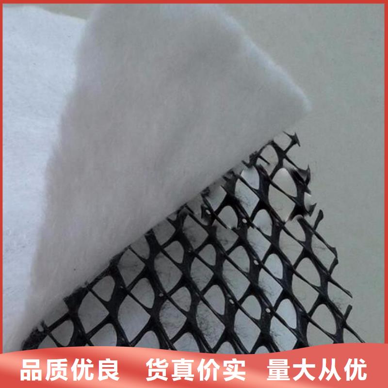 【三维复合排水网_防尘布精心】{本地}公司