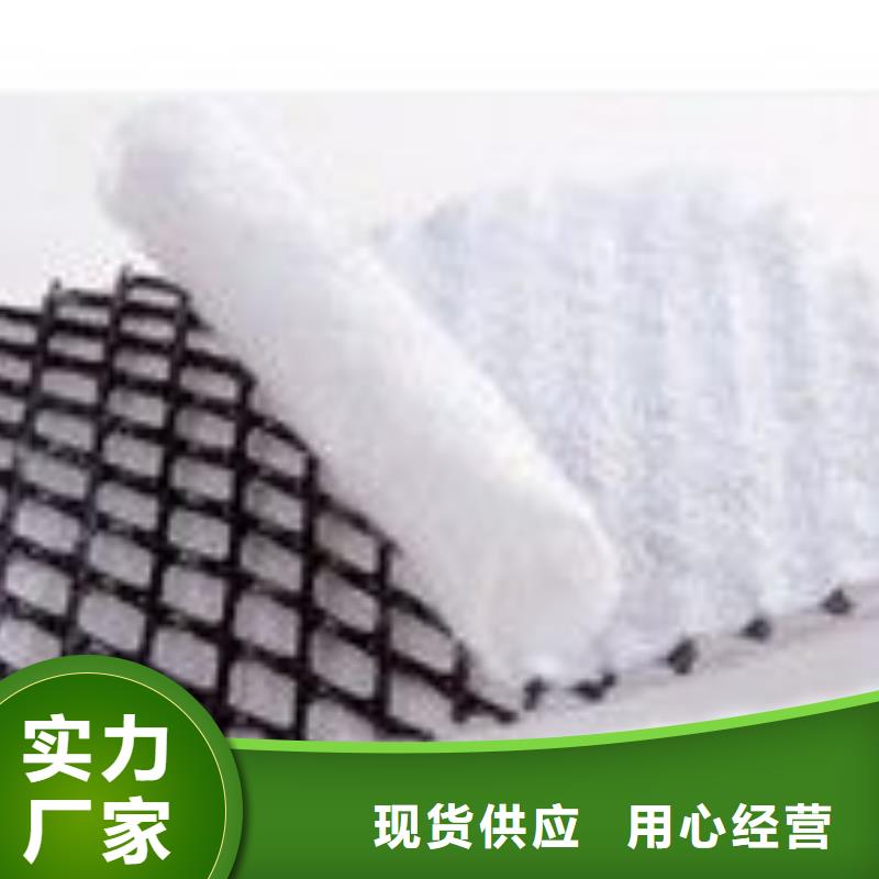 2025三维复合排水网-质优价廉-货源充足-生产厂家多年行业经验