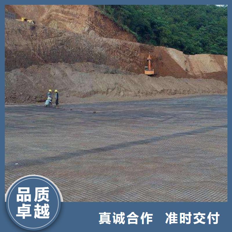 【pp焊接土工格栅,三维植被网优选厂商】<本地>生产商