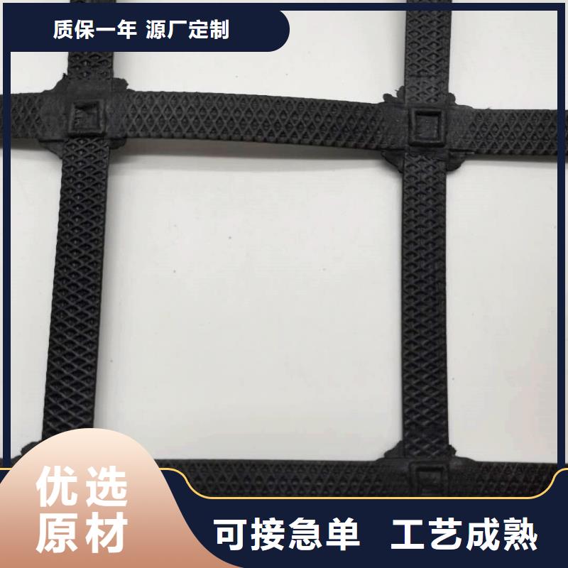土工格栅型号快速物流发货