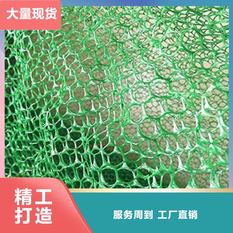 三维植被网厂家土工网垫价格生产厂家应用范围广泛