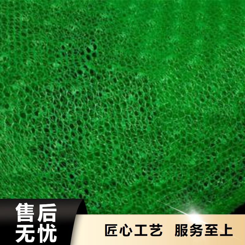 乐东县三维植被网【价格】-为什么坡面要用三维植被网？三维植被网【价格】生产加工