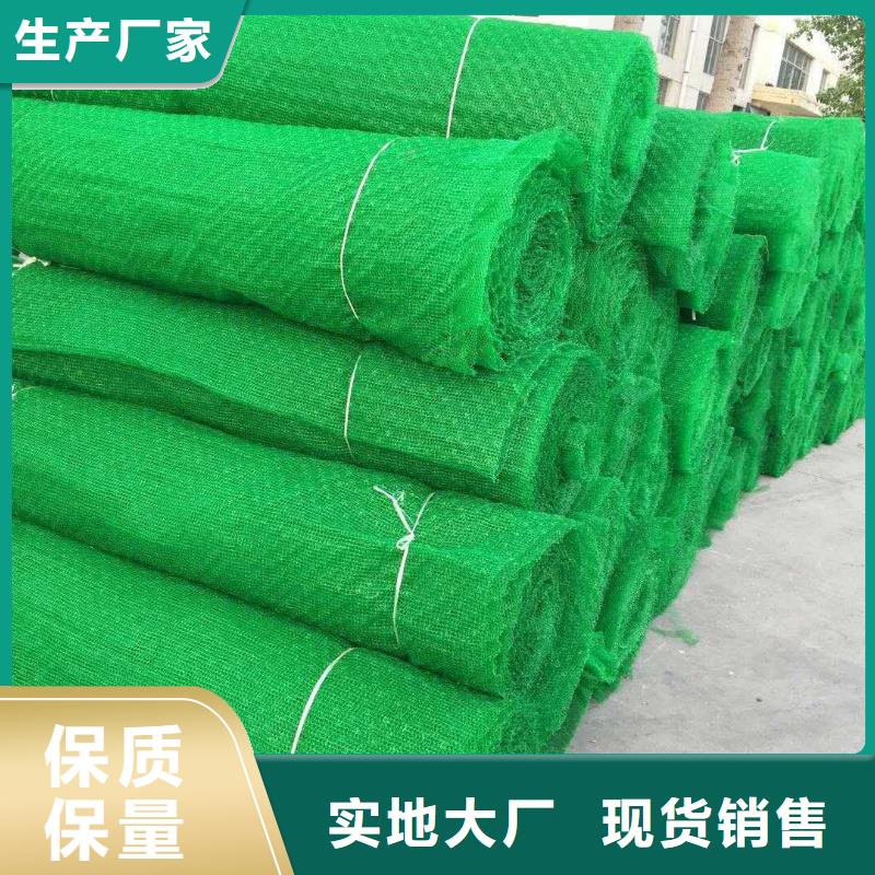 EM3三维植被网价格,三维植草网,N年大品牌