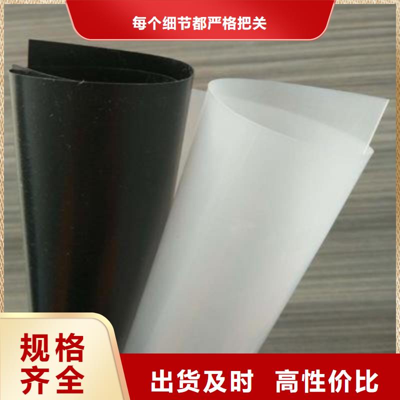土工膜双向塑料土工格栅价格地道精选优质材料