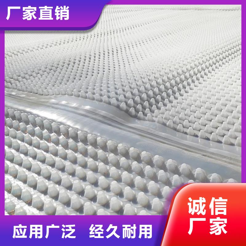 蓄排水板单向拉伸塑料格栅厂家直销售后完善[当地]生产厂家