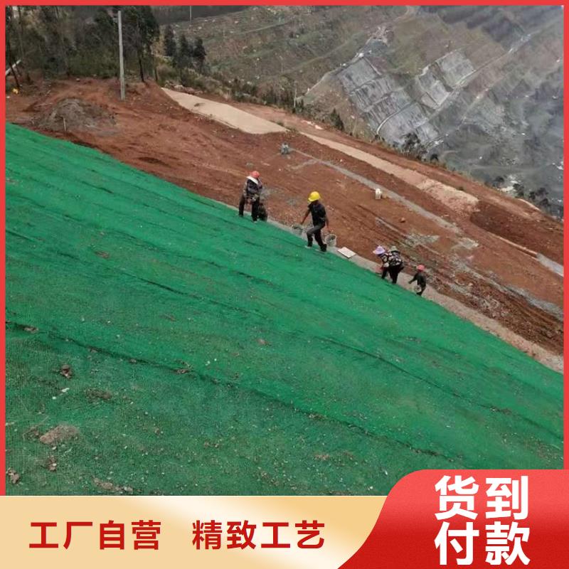 三维植被网_【复合土工膜】厂家[本地]经销商