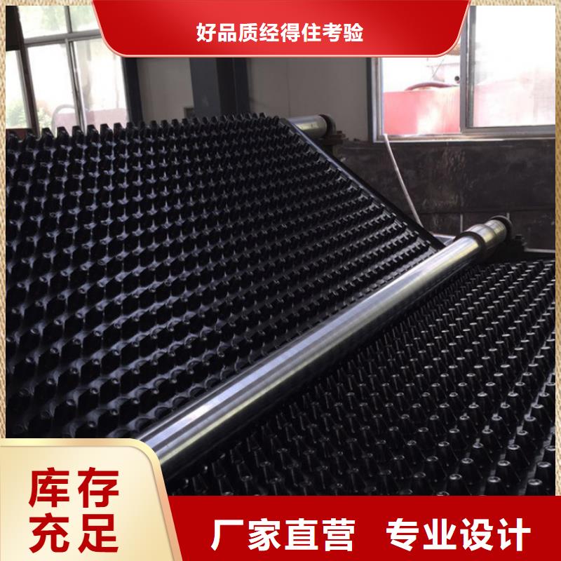 塑料排水板单向塑料土工格栅匠心打造当地品牌