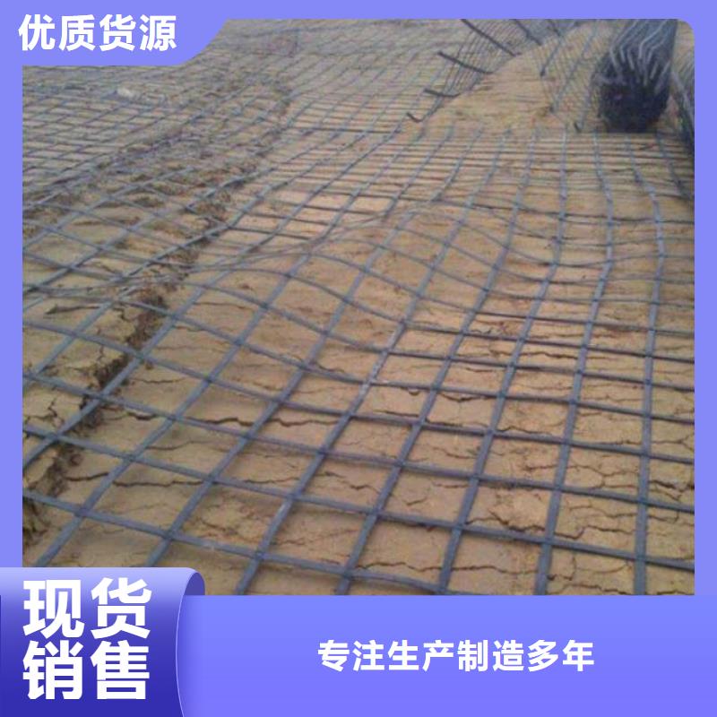 经编涤纶土工格栅厂家防渗反滤道路养护环保防尘支持定制加工