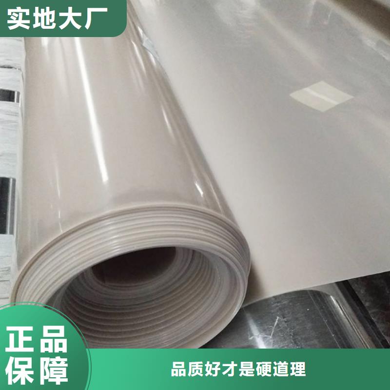 EVA防水板_钢塑土工格栅买的放心安兴用的舒心海量现货直销