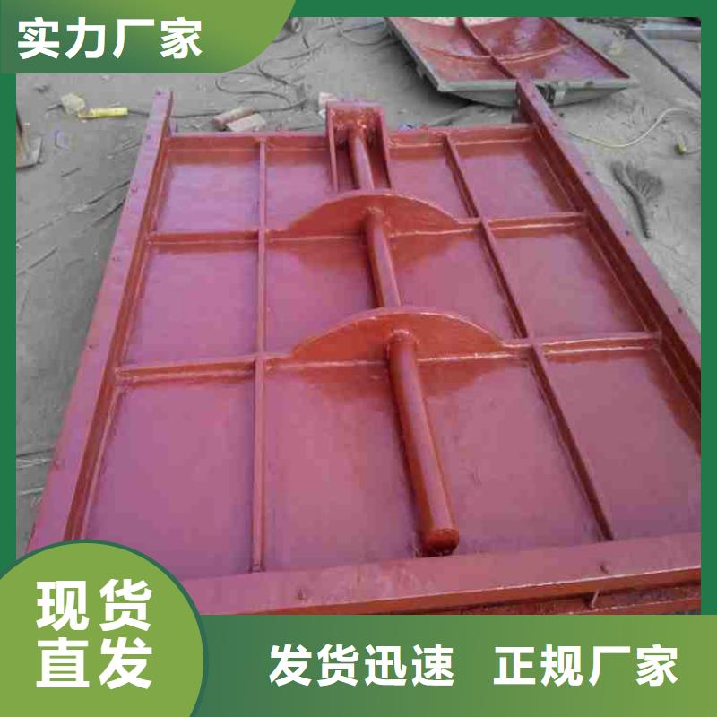 铸铁闸门质量好{当地}供应商