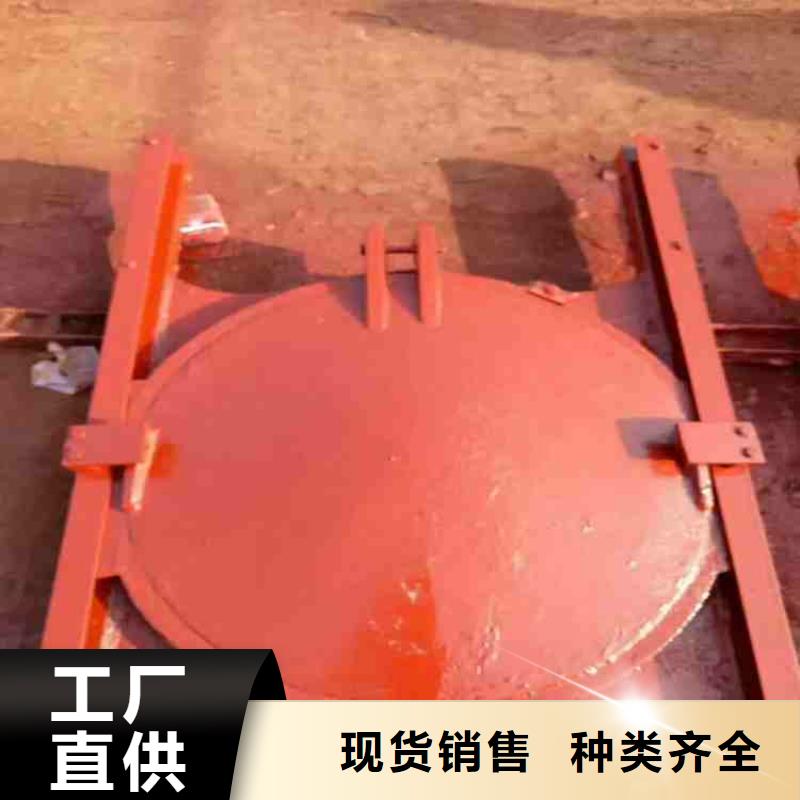 双向止水闸门欢迎惠顾当地公司