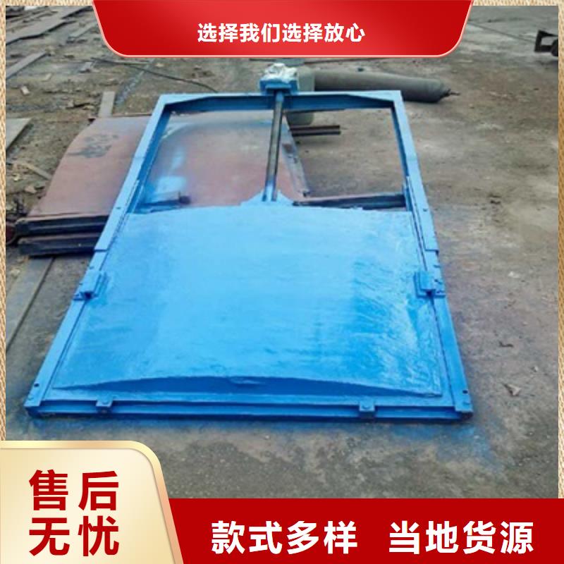 复合闸门免费提供咨询产地直销