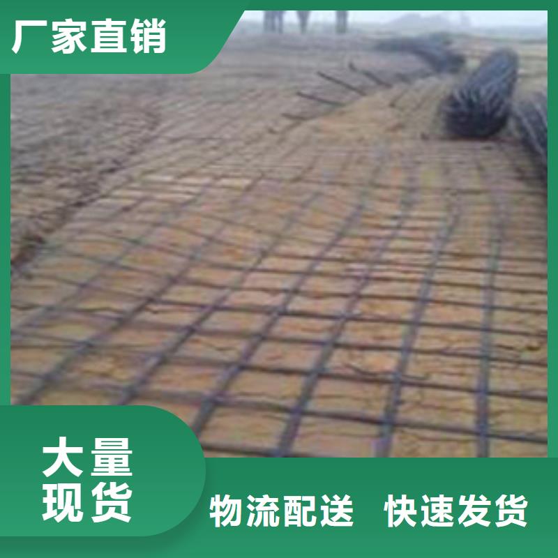 【钢塑土工格栅】三维植被网把实惠留给您<本地>生产商