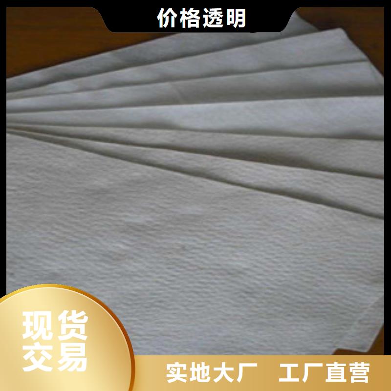 土工布玻纤土工格栅拒绝差价商家