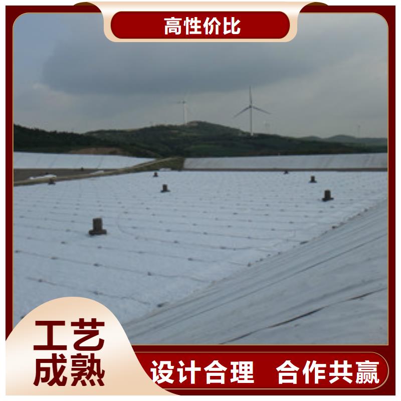 土工布膨润土防水毯当地厂家值得信赖{本地}生产商