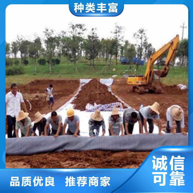 膨润土防水毯塑料土工格栅批发价格服务周到